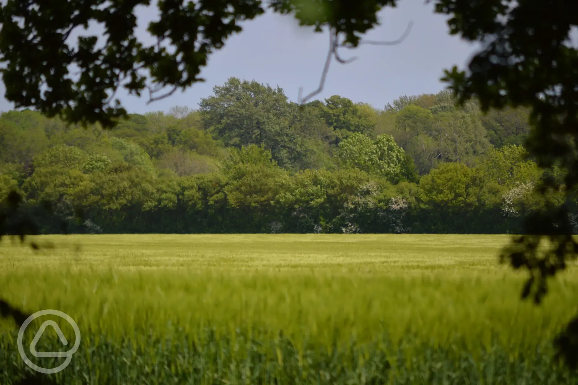 View from the campsite onto Thornham Walks