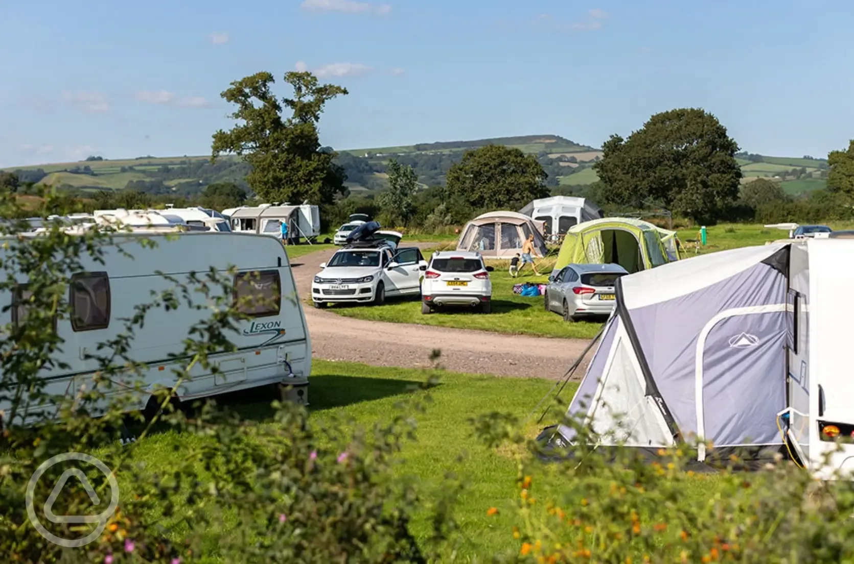Grass pitches