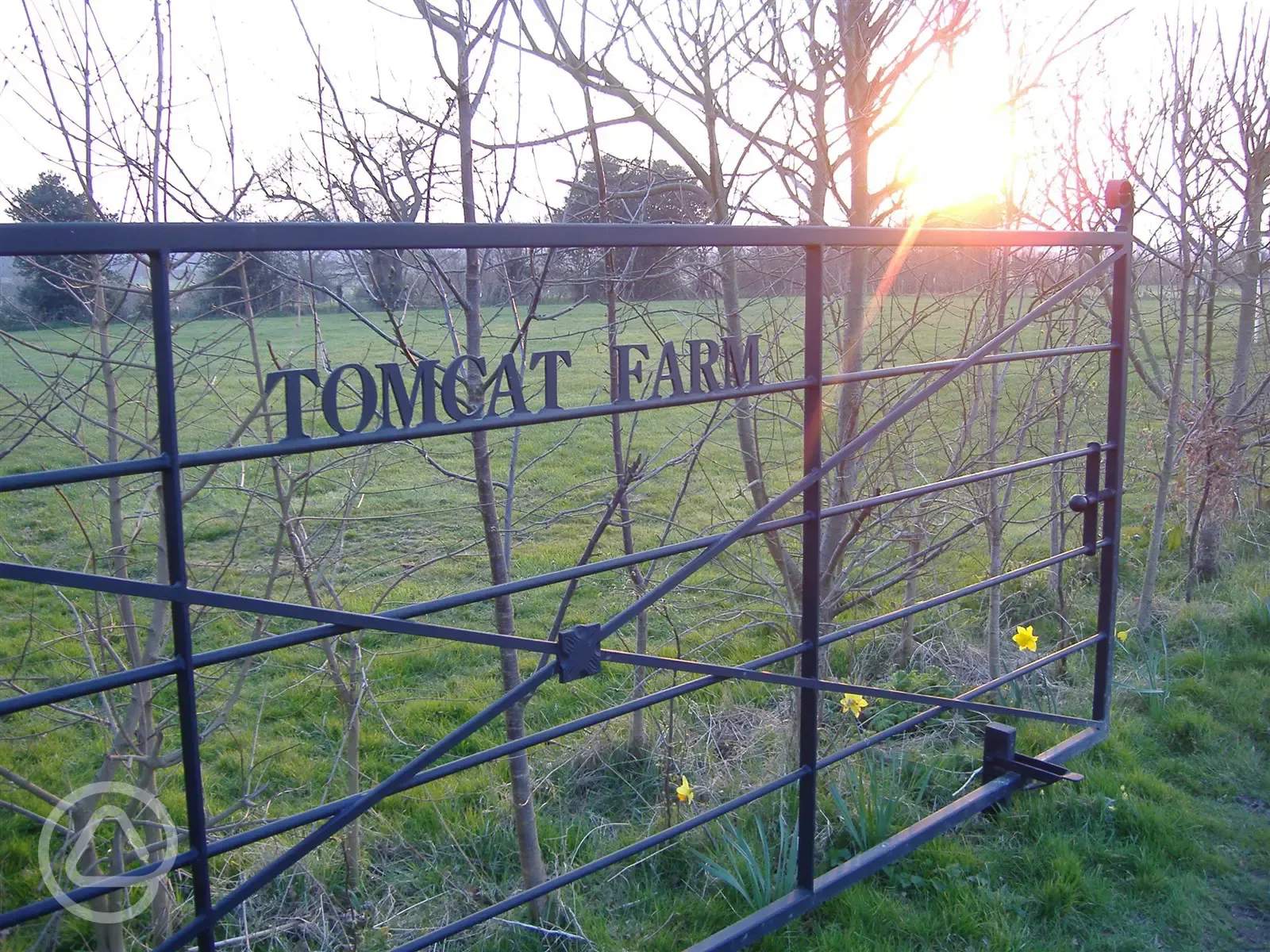 Tomcat Farm