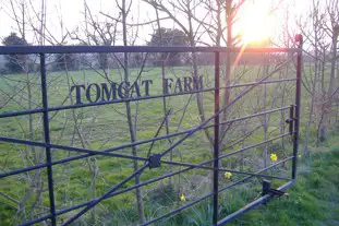 Tomcat Farm Certificated Site, Copdock, Ipswich, Suffolk (10 miles)