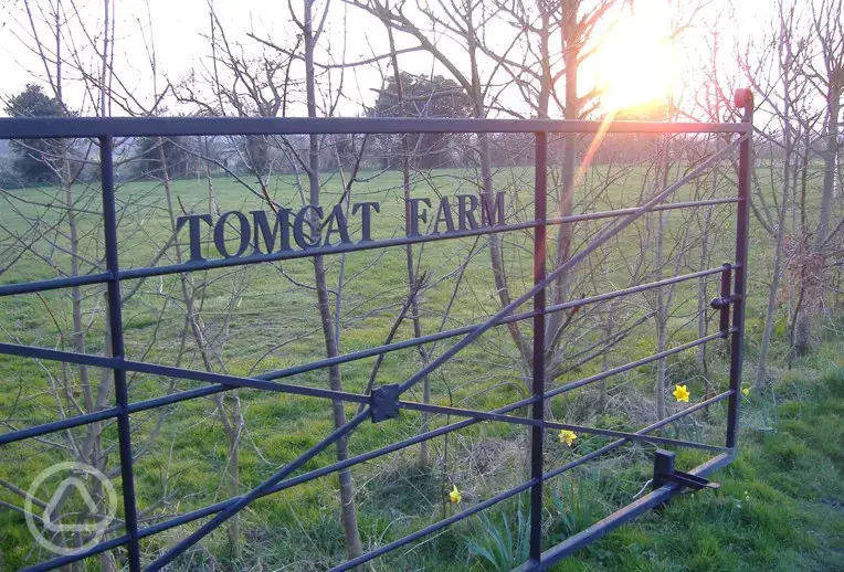 Tomcat Farm