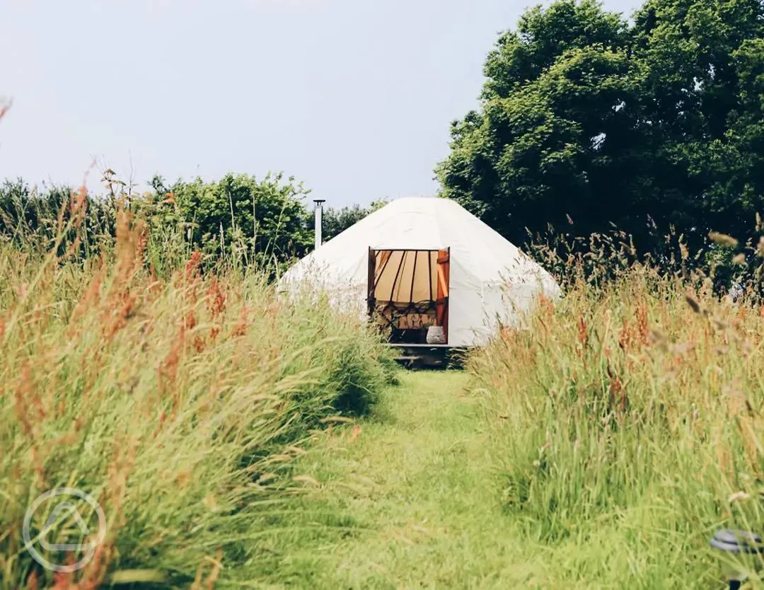 Yurt approach Tremeer Farm