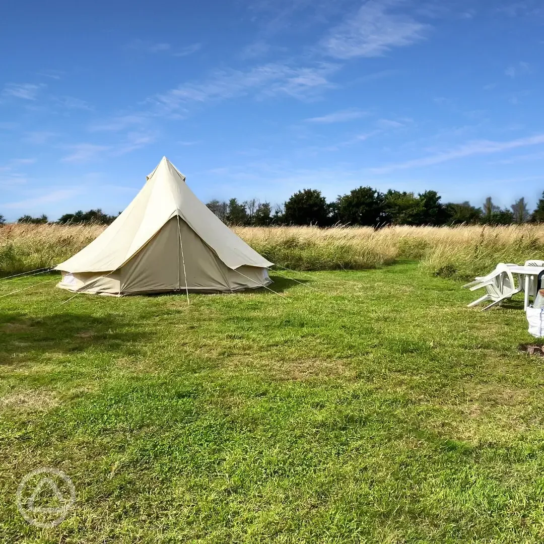 Bell tent at Twitey's tipis and camping meadows