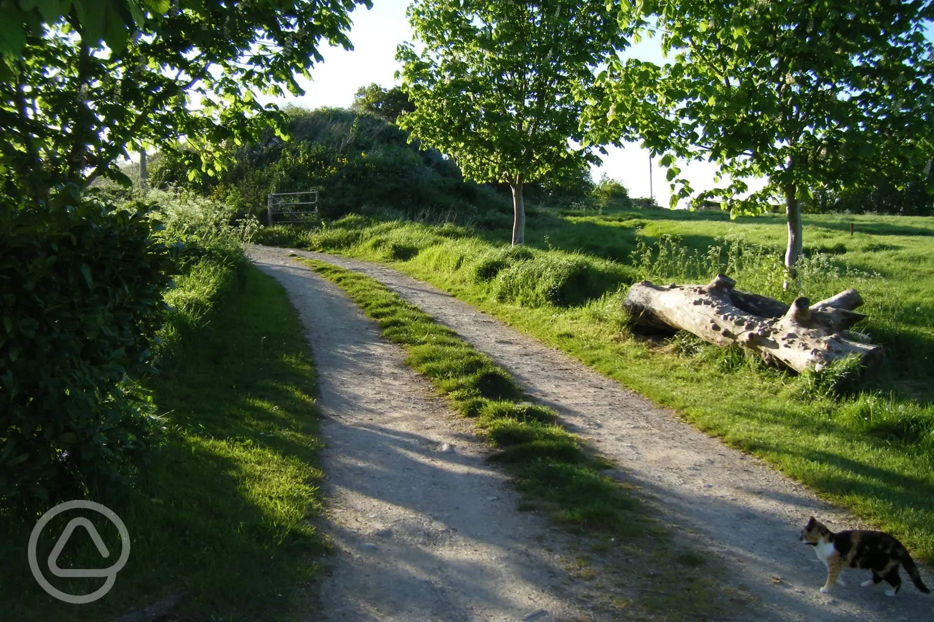 Entrance to the site