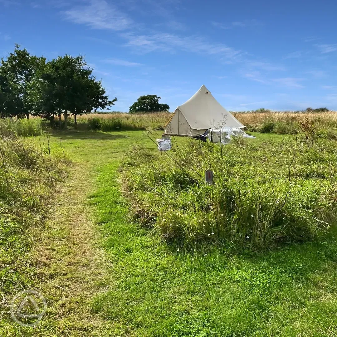 Bell tent at Twitey's Tipis and Camping Meadows