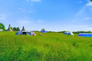 Twitey's Camping and Glamping Meadows, Hunscote, Wellesbourne, Warwickshire (11.5 miles)