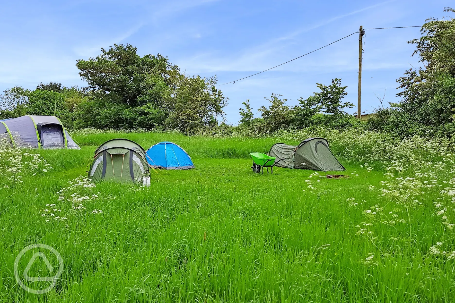 Grass pitches