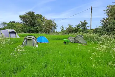 Grass pitches