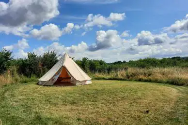 Twitey's Camping and Glamping Meadows