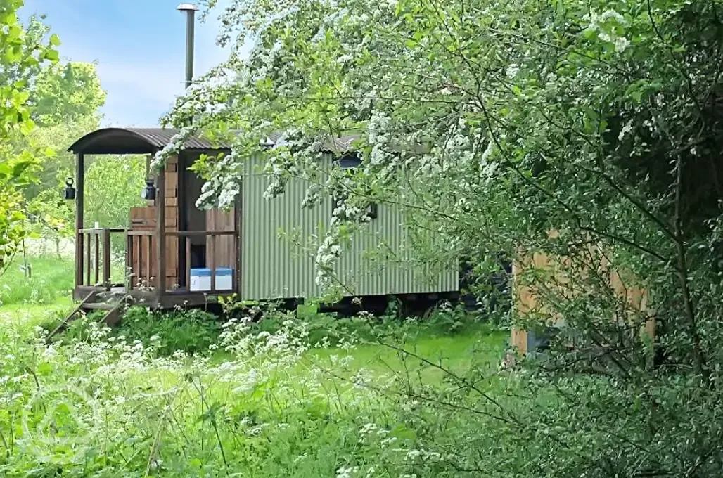 Shepherd's hut