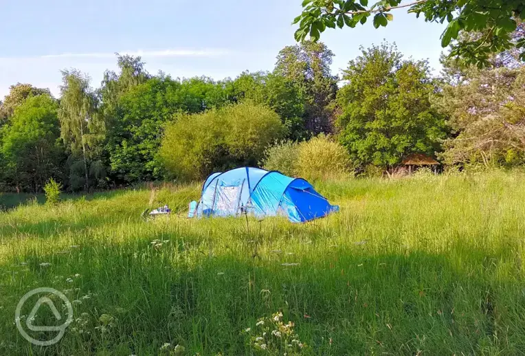 Grass tent pitch