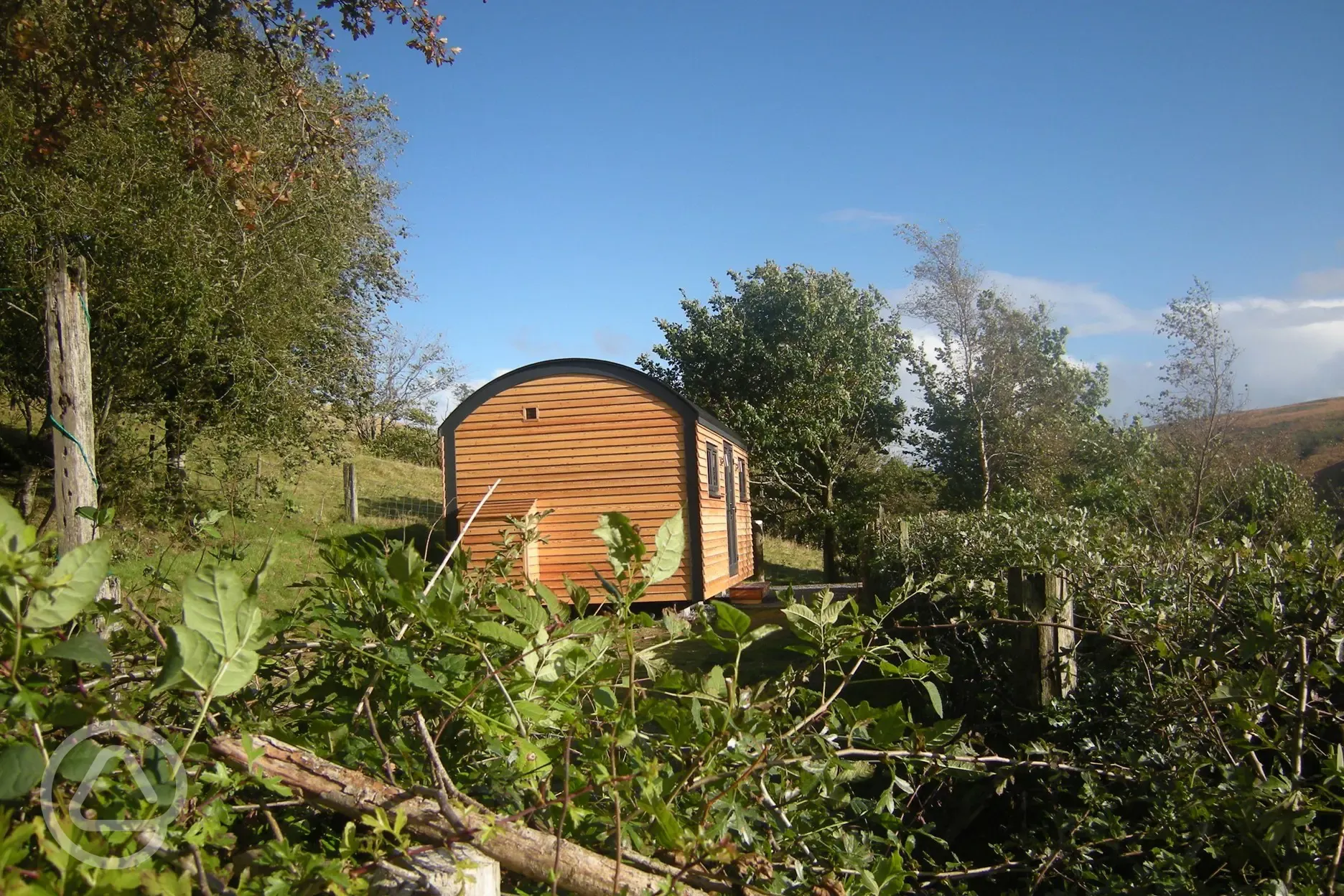 Shepherd's hut from campsite hedge
