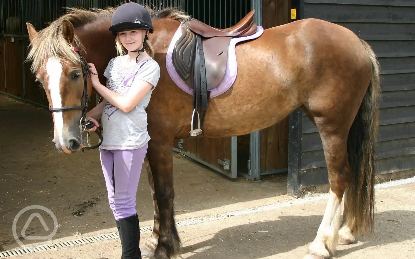 Pony club available for kids
