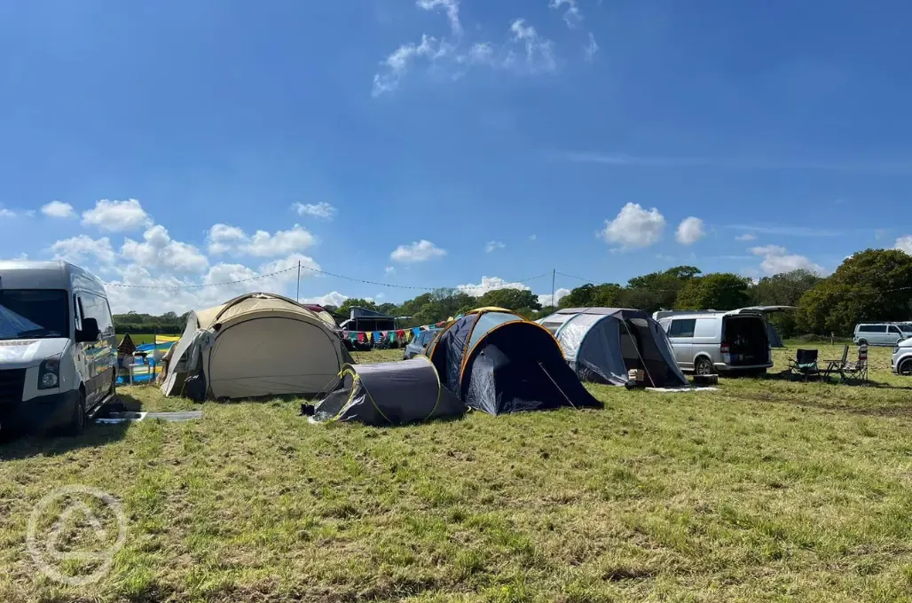Grass pitches