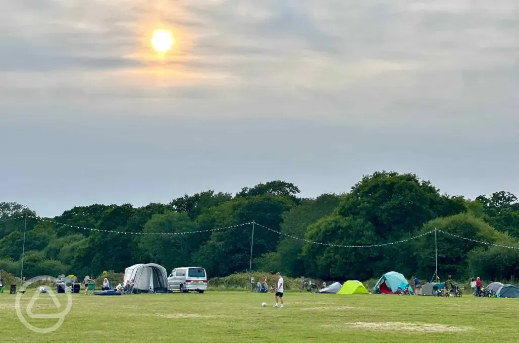 Non electric grass pitches
