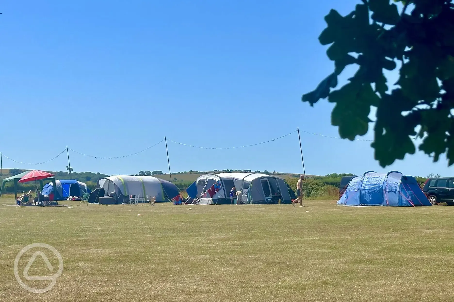 Electric grass pitches