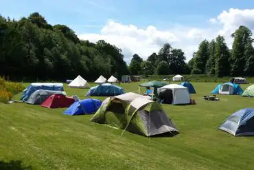 Non electric grass pitches 