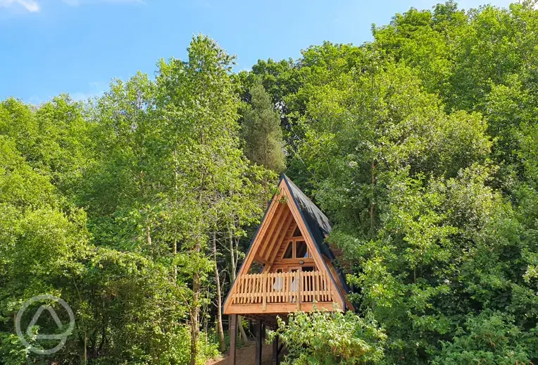 Woodland den
