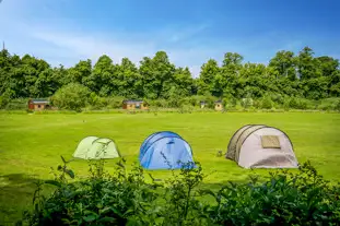 Whitlingham Broad Campsite, Trowse, Norwich, Norfolk (8 miles)