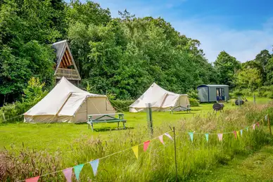 Whitlingham Broad Campsite