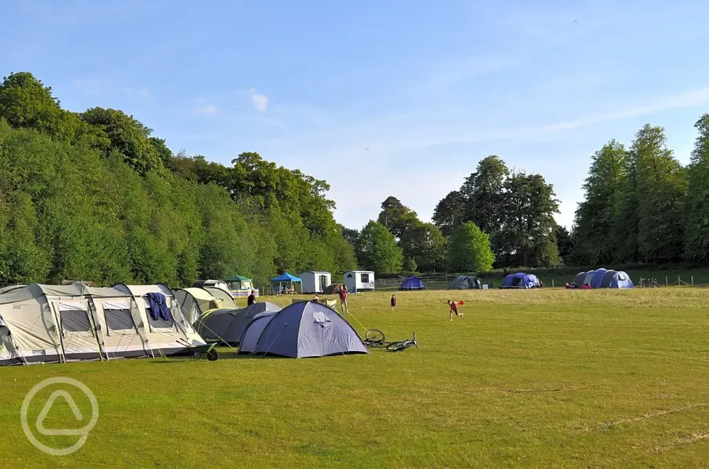 Upper meadow non electric grass tent pitches