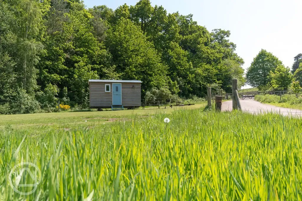 Lola the shepherd's hut 