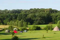 Non electric grass pitches in the meadow area