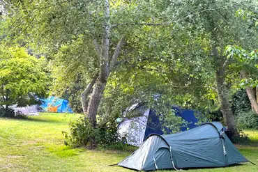 Woodland non electric grass pitches