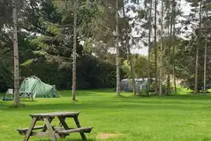 Unmarked pitches in the woodland (choose your pitch)