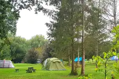 Non electric grass pitches in the woodland