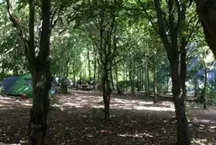 Non electric grass pitches in the woodland