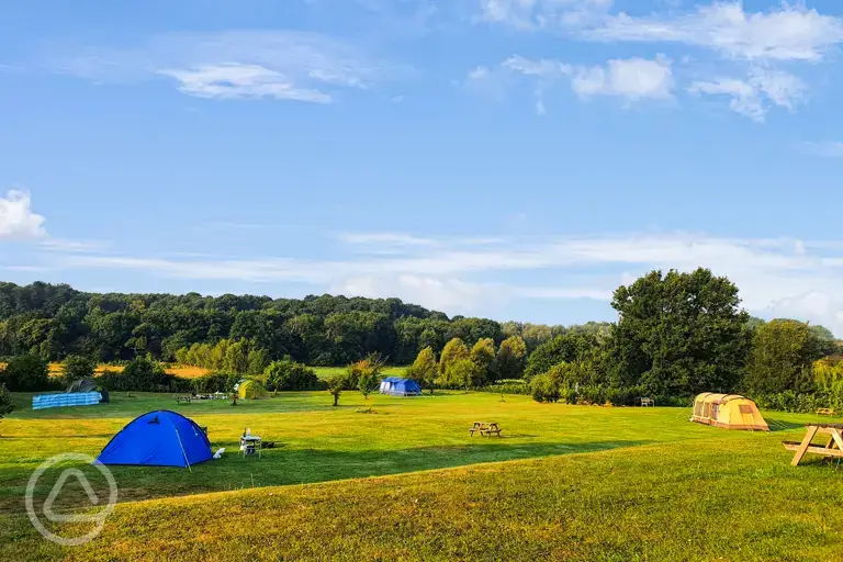 Non electric grass pitches