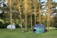 Non electric grass pitches in the woodland