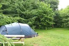 Non electric grass pitches in the woodland