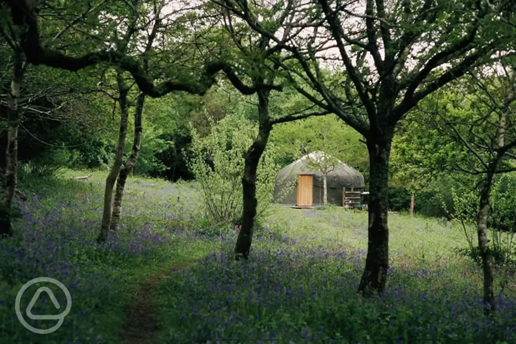 Smallest yurt