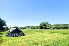Non electric camping pitches on the lower field (9m x 9m)