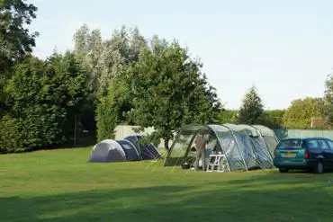 Grass pitches