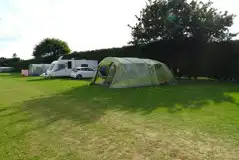 Grass pitches with optional electric