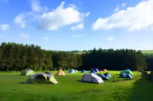 Breaks Fold Farm Glamping and Camping, Harrogate, North Yorkshire (9.7 miles)