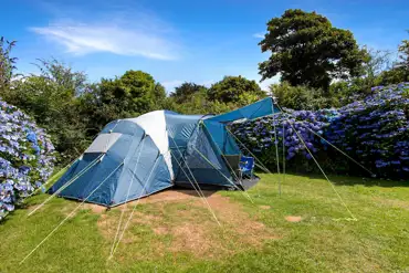 Extra large hedged grass pitches (optional electric) at Tehidy Holiday Park