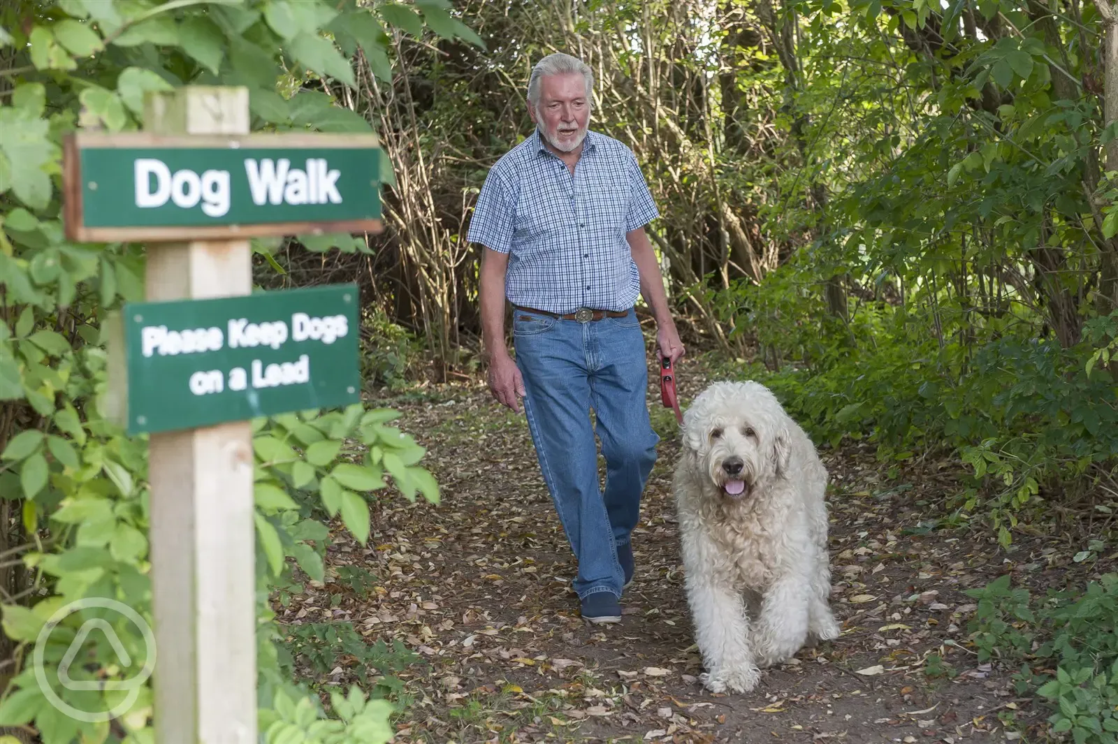 Enjoy one of the dog walking trails