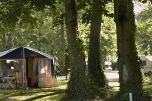 Chertsey Camping and Caravanning Club Site, Chertsey, Surrey (8 miles)