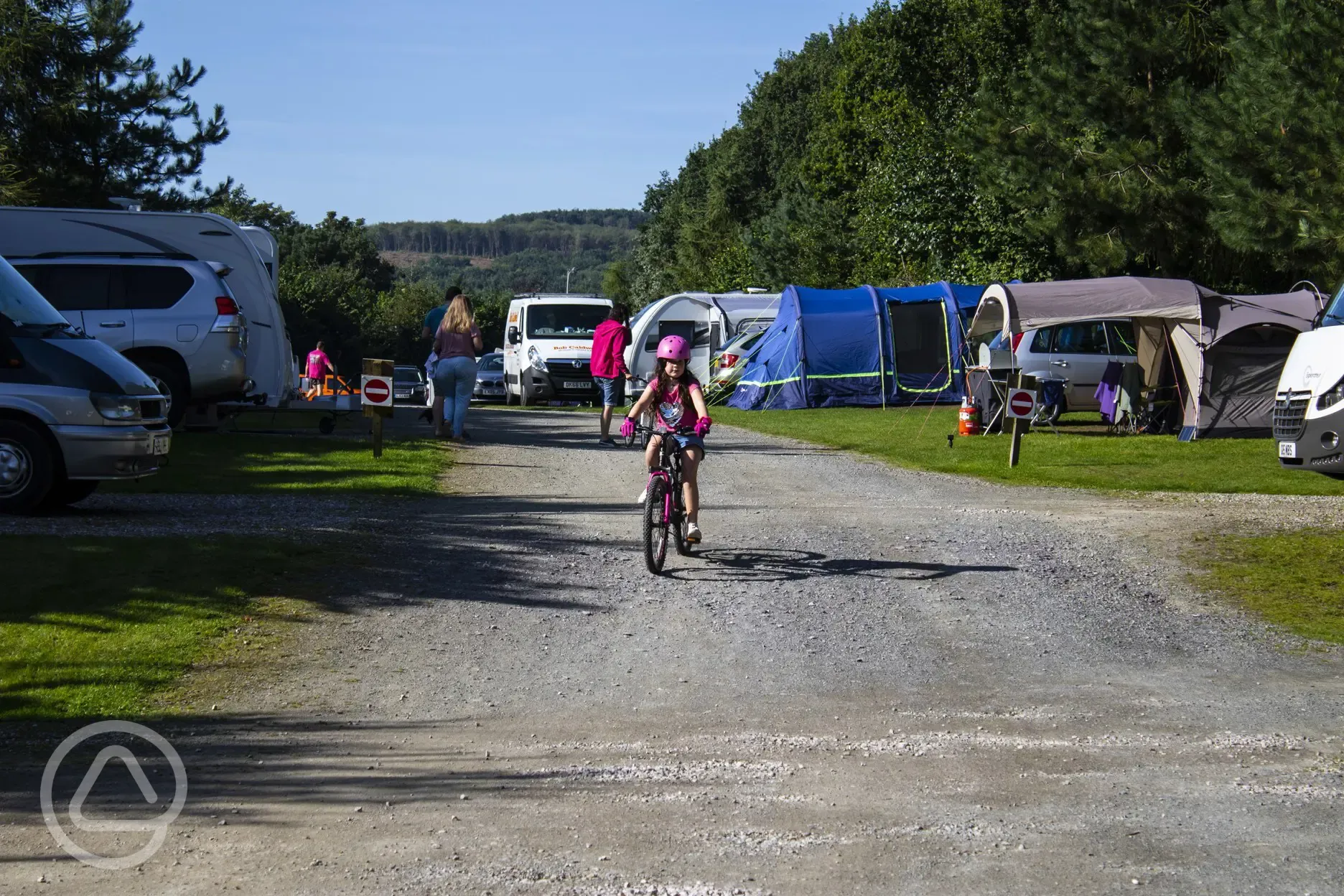 Pitches at Delamere Forest Camping and Caravanning