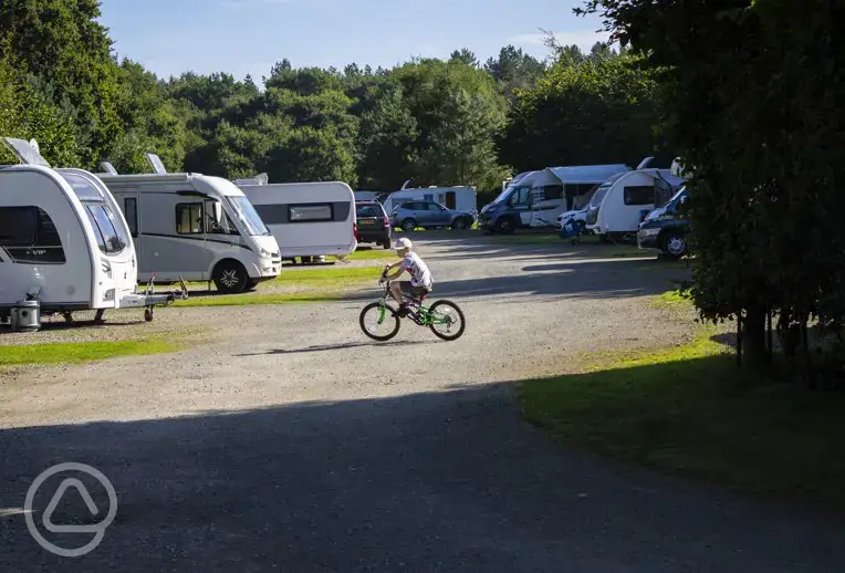 Pitches at Delamere Forest Camping and Caravanning