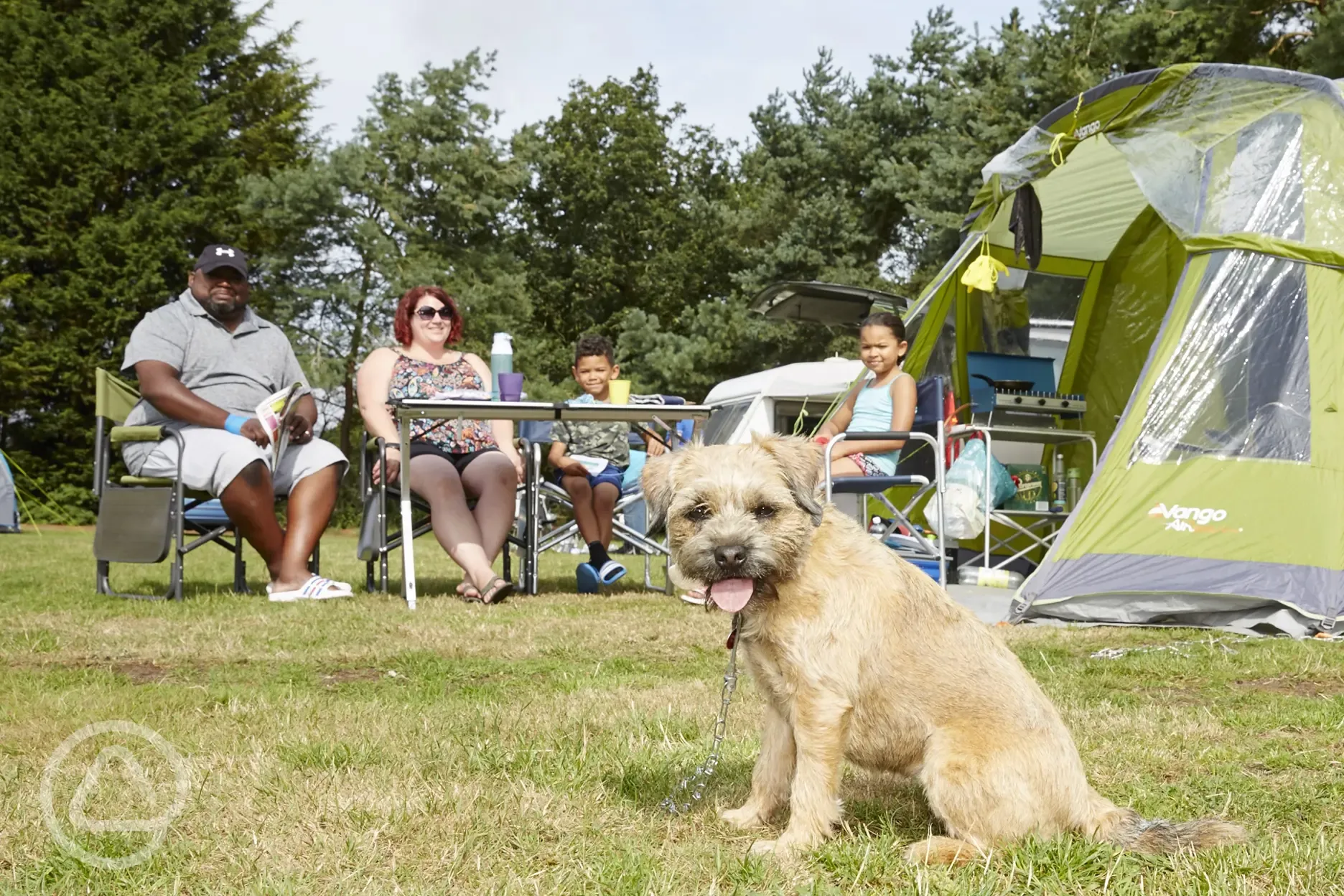 Dog friendly camping