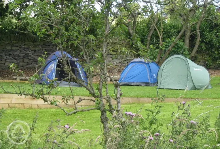 Grass pitches at Orchard Camping