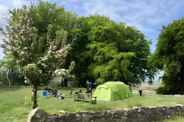 Wild tent pitches