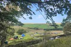 Wild tent pitches at Hafod Hall Camping Club