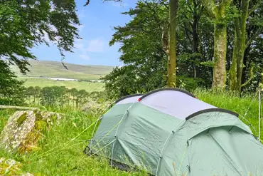 Wild tent pitches at Hafod Hall Camping Club