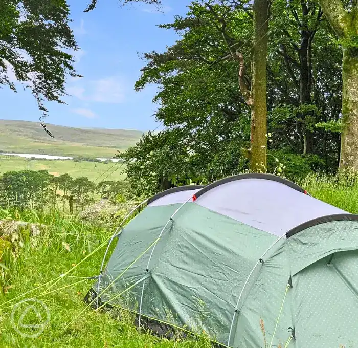 Hafod Hall Camping Club in Denbigh, Denbighshire - book online now